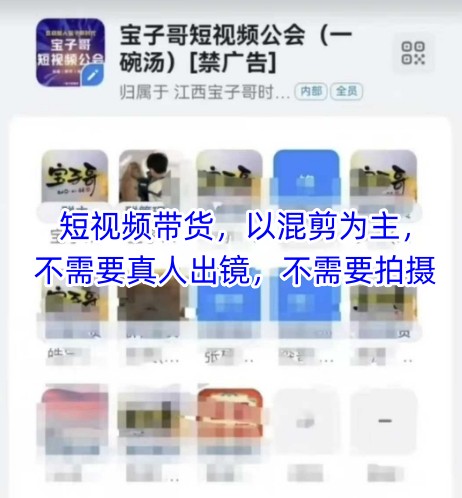 宝子哥头部团队短视频带货，以混剪为主，不需要真人出镜，不需要拍摄【更新11月】-百盟网
