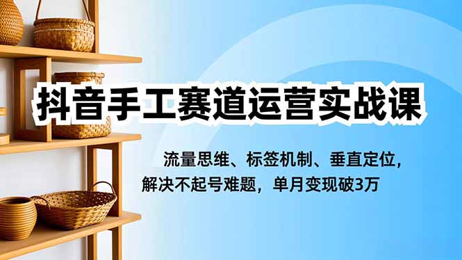 抖音手工赛道运营实战课,流量思维、标签机制、垂直定位,解决不起号难题,单月变现破3万-百盟网