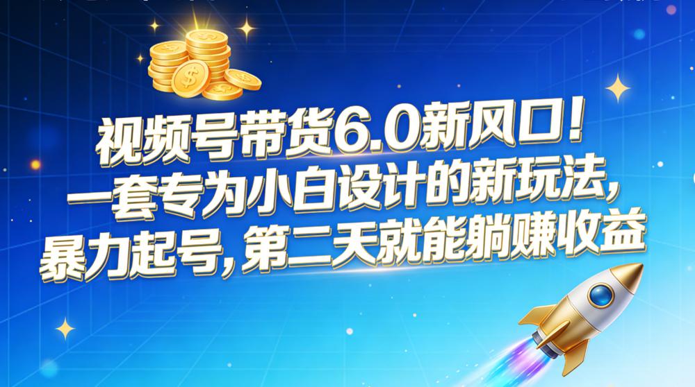 视频号带货 6.0 新风口！一套专为小白设计的新玩法，暴力起号，第二天就能躺赚收益-百盟网