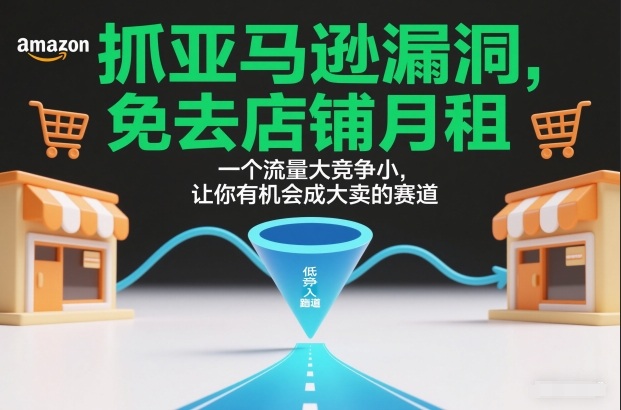 抓亚马逊漏洞,免去店铺月租,一个流量大竞争小,让你有机会成大卖的赛道-百盟网